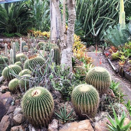 Ancient Gardens Guesthouse&Botanical Gardens Eudlo Exterior foto