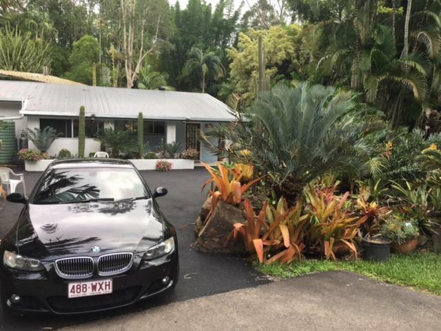 Ancient Gardens Guesthouse&Botanical Gardens Eudlo Exterior foto