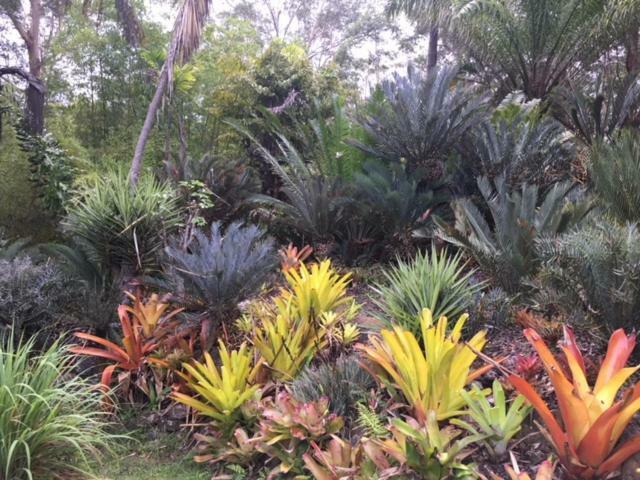 Ancient Gardens Guesthouse&Botanical Gardens Eudlo Exterior foto