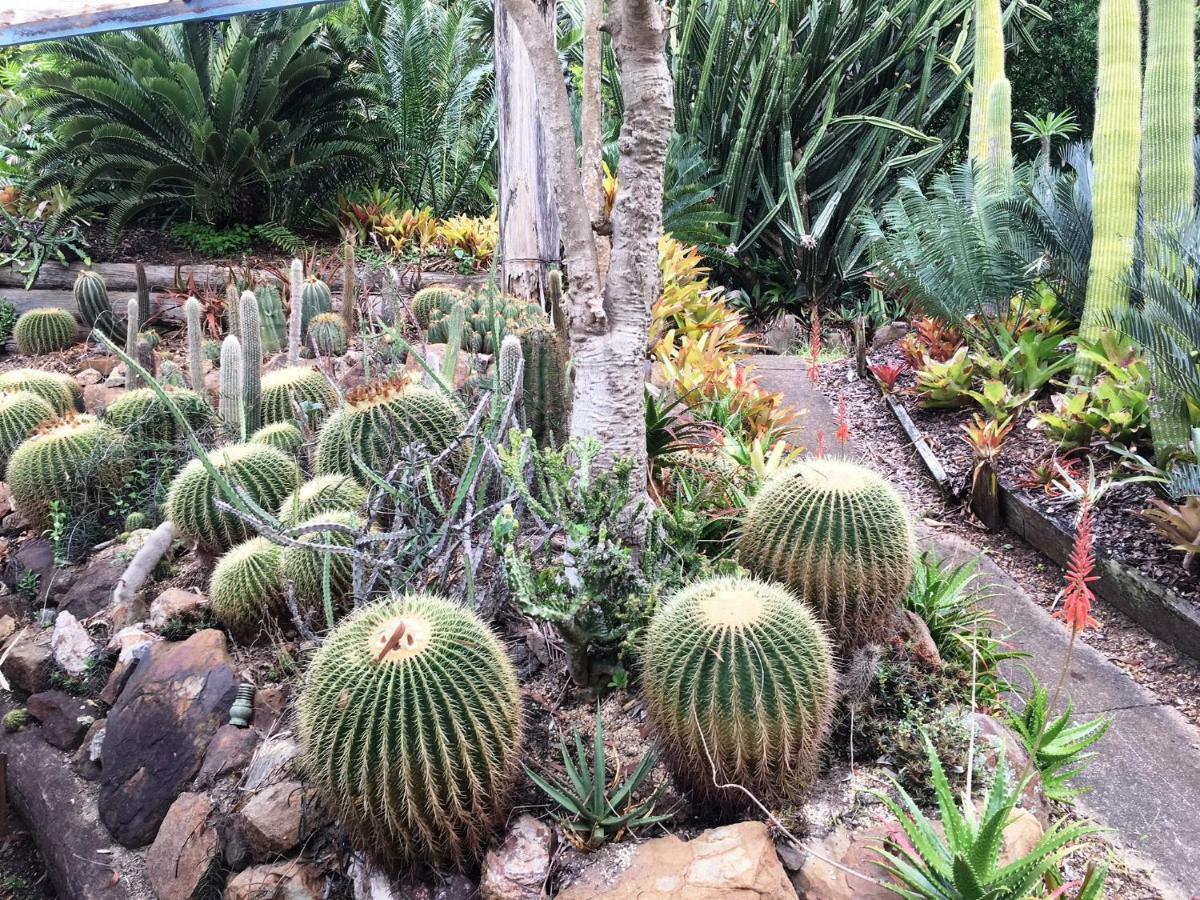 Ancient Gardens Guesthouse&Botanical Gardens Eudlo Exterior foto